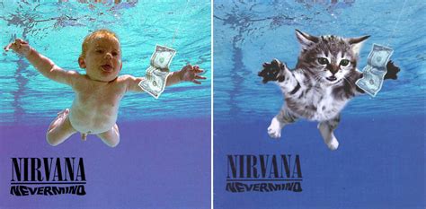 20 iconic rock album covers hijacked by cute kittens