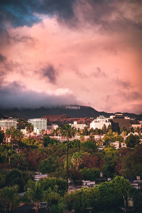 View of the Hollywood Hills from my balcony during a beautiful LA sunset : r/LosAngeles