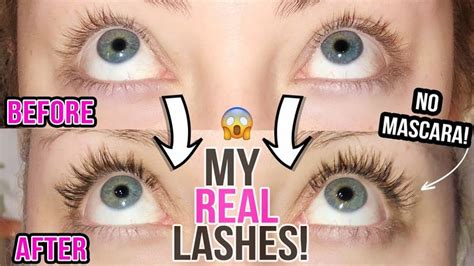 HOW TO GROW YOUR LASHES | MAXEYLASH SERUM BEFORE AND AFTER | GLAMNANNE ...