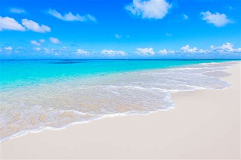 Salt Cay - The Island Time Forgot | Visit Turks and Caicos Islands