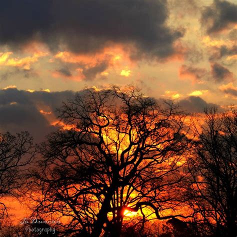 Scenes of Cass County, Texas