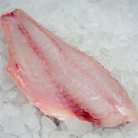 Red Snapper Fillet - Pinetree Vietnam Co., Ltd | Seafood Exporter ...