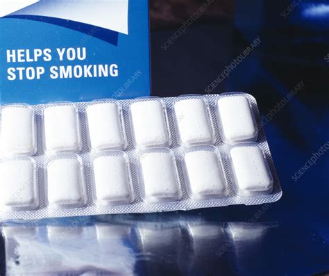 Nicotine gum - Stock Image - M370/0905 - Science Photo Library