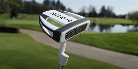 Blade vs Mallet Putters - What's Best for Your Game – Golf In Progress