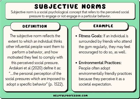 Subjective Norms: Definition and Examples (2024)