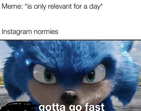 new sonic movie will have great memes : r/dankmemes