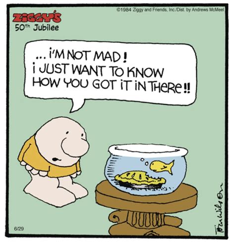 Celebrate 50 Years of Ziggy! | Read Comic Strips at GoComics