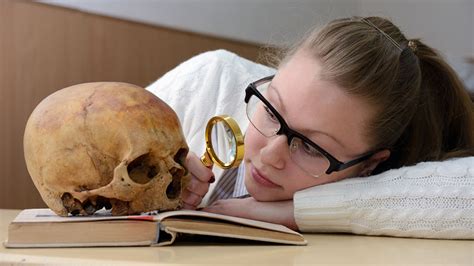 Anthropology Textbook Course - Online Video Lessons | Study.com