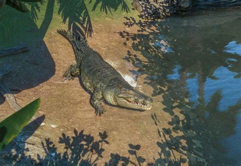 Saltwater Crocodile | Planet Zoo Wiki | Fandom