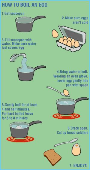 free How To Boil An Egg So It Does Not Crack - actionfreload