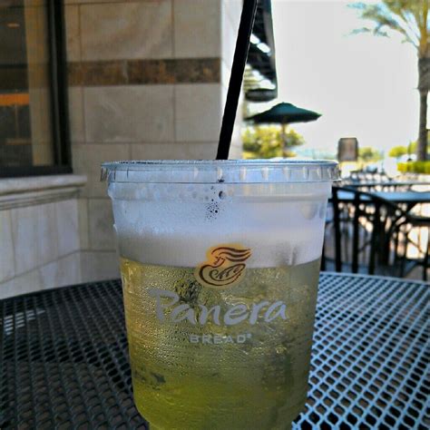 Panera Bread Bakery Iced Green Tea | Panera bread, Panera, Iced green tea