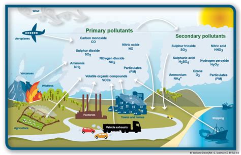 [Solved] What are the major primary air pollutants and their sources? What... | Course Hero