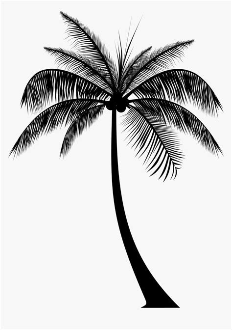 Transparent Palm Tree Silhouette Png - Silhouette Palm Trees Png, Png Download - kindpng