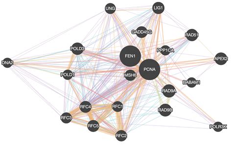 JavaScript: Discover the Graph-Visualization Ecosystem | iSquared