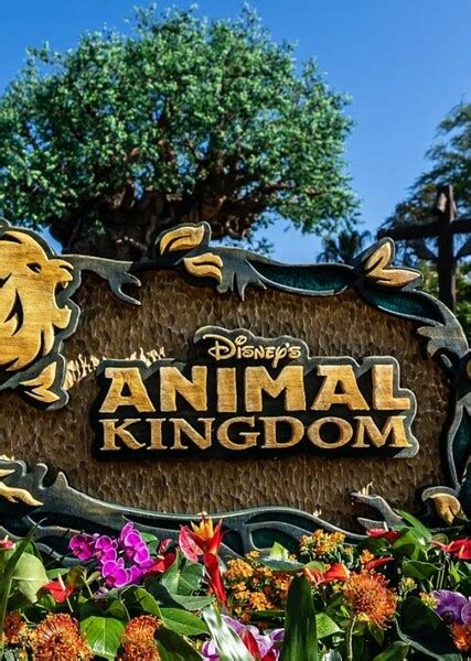 Animal Kingdom (TV Series) Fan Casting on myCast