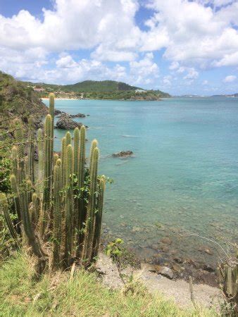 Happy Bay Beach (Saint-Martin, St. Maarten-St. Martin): What to Know ...