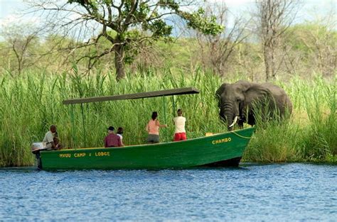 Mvuu Camp - Malawi Safari - Big Five Safari