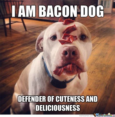 I am Bacon Dog Defender of cuteness and deliciousness .... | Bacon dog ...