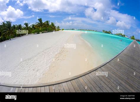 Nice white beach in island Maldives Stock Photo - Alamy