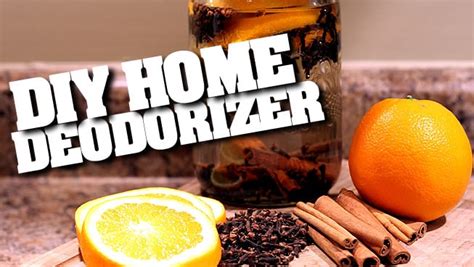 DIY Natural Home Deodorizers & Air Fresheners! | Clean My Space