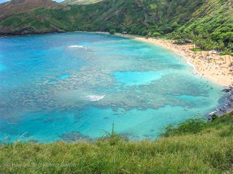 Hanauma Bay Snorkeling Secrets! Your Insider Guide to Oahu Snorkeling!