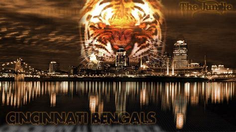 Bengals Wallpapers - Wallpaper Cave