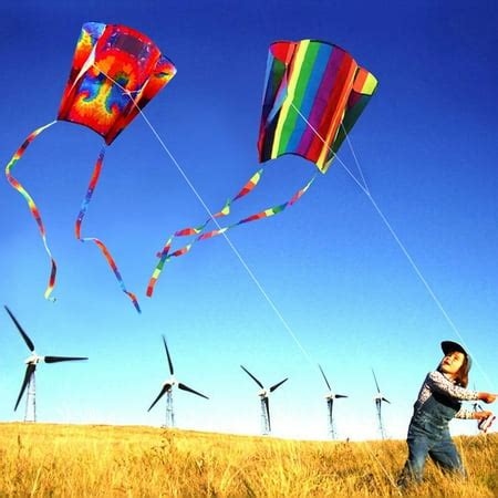 Xinxinyy Rainbow Parafoil Kite Polyester Ripstop Flying Kite Kid Adult ...