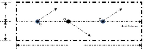 Illustration of observation using the transect line method | Download ...