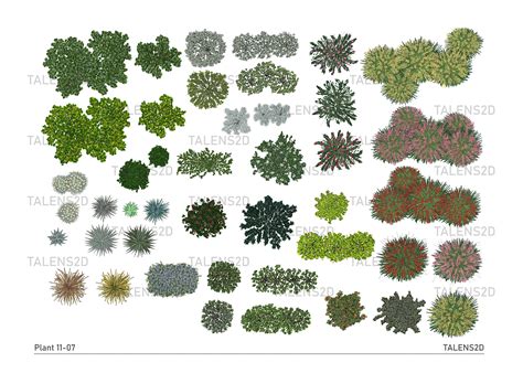 Plant Top View, 2D Landscape Clipart in PNG - Etsy