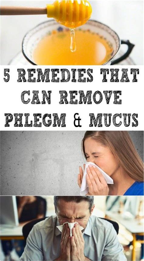 5 REMEDIES THAT CAN REMOVE PHLEGM & MUCUS | Mucus, How to remove, Remedies