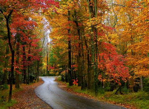 "Fall in the Smoky Mountains" by Marylee Pope | Redbubble