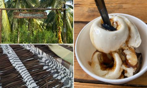 This Farm Cafe In Pahang Serves Fresh Vanilla Ice Cream Made From Self-Plant Vanilla Tree - KL ...