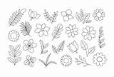 Flowers Leaves And twigs coloring page Floral Elements Outline Set  sketch template