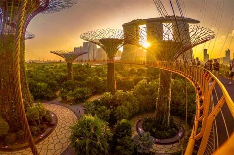 Exploring Singapore - The Futuristic City in a Garden | BaldHiker