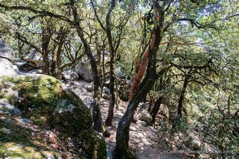 Castle Rock State Park: Hiking to Castle Rock & Castle Rock Falls ...