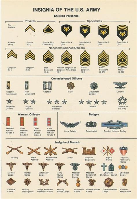 Best 25+ Army ranks ideas on Pinterest | Military ranks army, Military ...