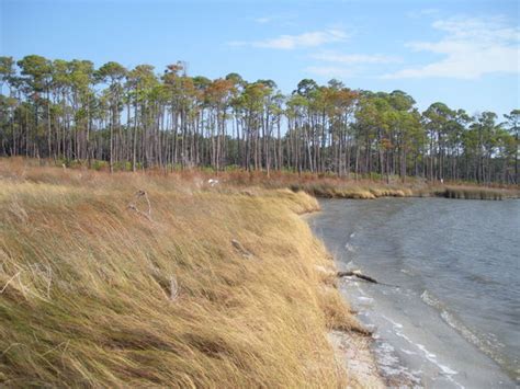 Bon Secour National Wildlife Refuge (Gulf Shores) - 2021 All You Need ...