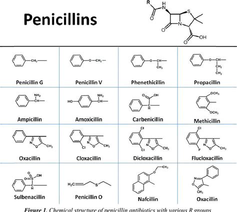 PENICILLIN | Medicinal chemistry, Penicillin, Medical facts