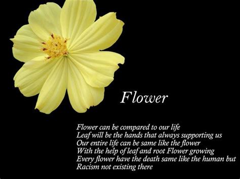 Reflections: Flower : ACROSTICS POEM | Most beautiful flowers ...