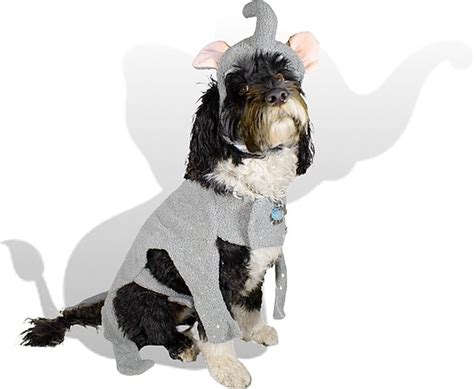 ROYAL ANIMALS Elephant Dog Costume, X-Large - Chewy.com