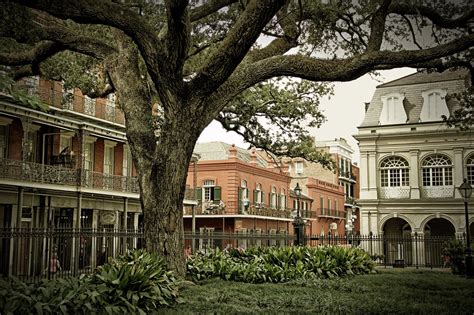 French Quarter New Orleans Tree - Free photo on Pixabay