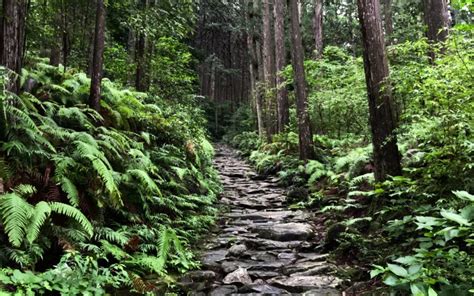 Top Things to Do in Mie Prefecture: A Guide to Traveling in Central Japan - GaijinPot