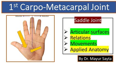 Carpometacarpal Joint Anatomy