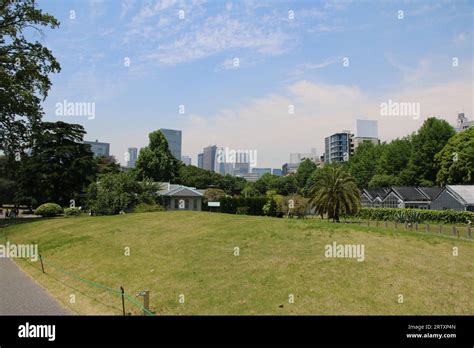 Picture of the Shinjuku Gyoen greenhouse in Tokyo Stock Photo - Alamy