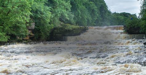 River Ure - Yorkshire Dales Rivers Trust