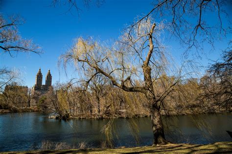 Central Park, NYC Free Stock Photo - Public Domain Pictures