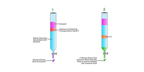 Chromatography - Definition, Principles, Types, Applications, FAQs