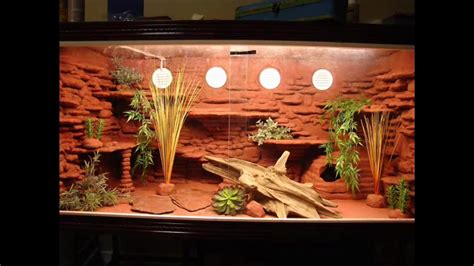 Pin by Protaski on Terrariums | Bearded dragon habitat, Bearded dragon ...