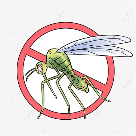 Cartoon Mosquito Picture, Mosquito Clipart, Cartoon Mosquito, Insecticide PNG Transparent ...