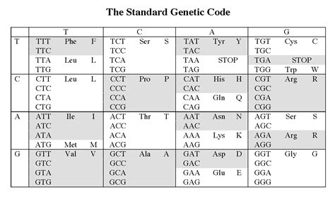 Universal Genetic Code This is showing the Standard genetic code that ...